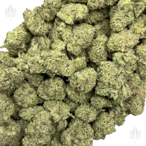 MVP (LSO EXOTICS) - Image 2