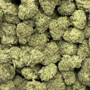 MVP (LSO EXOTICS) - Image 3