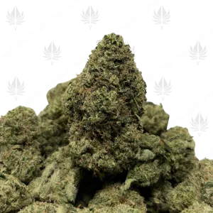 MVP (LSO EXOTICS) - Image 1