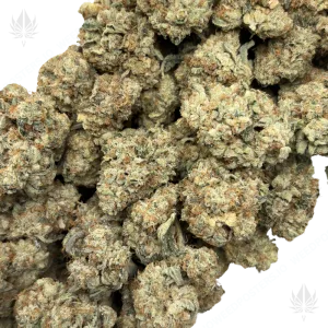 TRIANGLE MINTZ (QUAD EXOTICS) - Image 2