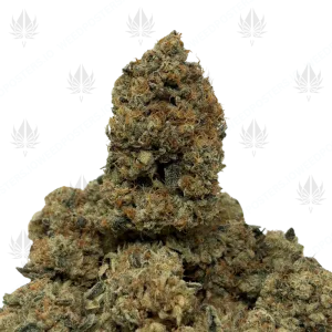 TRIANGLE MINTZ (QUAD EXOTICS) - Image 1