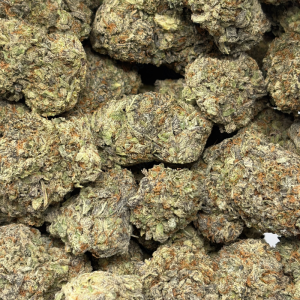 DONKEY BUTTER (TRIP EXOTICS) - Image 3