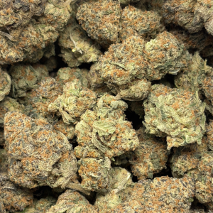 SOUR GUSHERS (TRIP EXOTICS) - Image 3