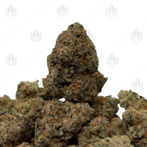 SOUR GUSHERS (TRIP EXOTICS) - Image 1
