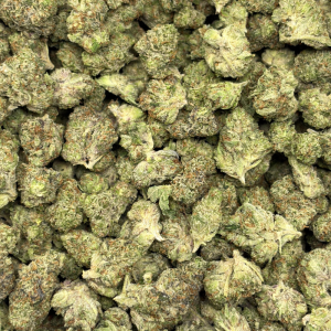 MI AMOR (TRIP EXOTICS) - Image 3