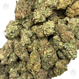 ANIMAL COOKIES (LOWS) - Image 2