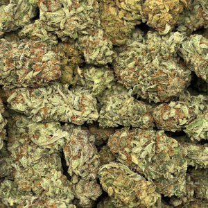 ANIMAL COOKIES (LOWS) - Image 3