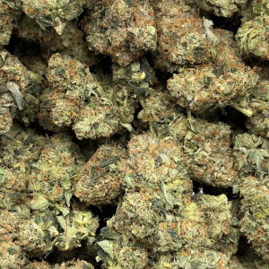 TUNA ROCKSTAR (TRIP GAS) - Image 3