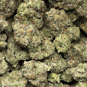 KATANA PINK (QUAD GAS) - Image 3