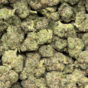 WILD RUNTZ (LSO EXOTICS) - Image 3