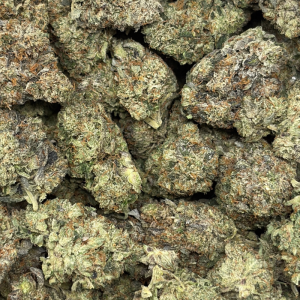 AFGHANI DIESEL (TRIP GAS) - Image 3