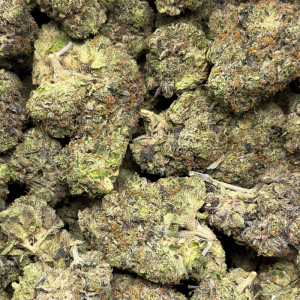 PRIMO PINK (QUAD GAS) - Image 3