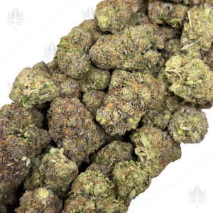 PINK TORPEDO (QUAD GAS) - Image 2