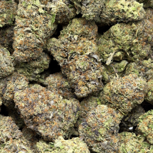 PINK TORPEDO (QUAD GAS) - Image 3