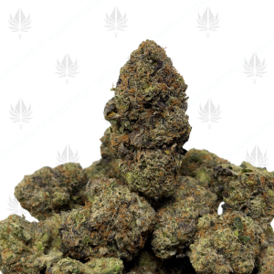 PINK TORPEDO (QUAD GAS) - Image 1