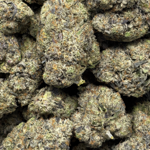 PINK ROYALTY (QUAD GAS) - Image 3