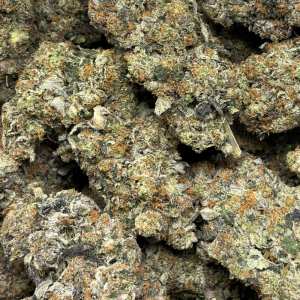 PINK KRAKEN (LSO GAS) - Image 3