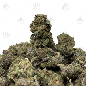 PINK TAZER (TRIP GAS) - Image 1