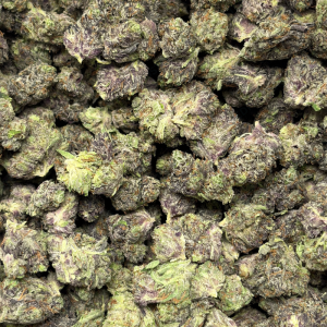 PURPLE TUNA (TRIP GAS) - Image 2