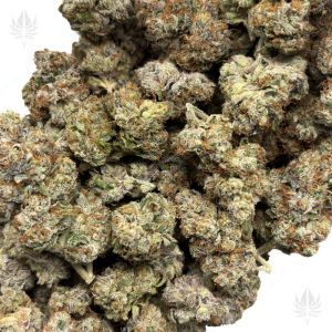 BLUE ZUSHI (LSO EXOTICS) - Image 3