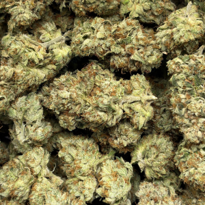 TRUST FUND GLUE (LSO EXOTICS) - Image 3