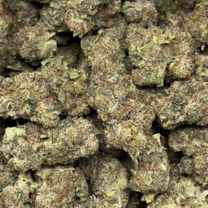 WIZARD X BEACH WEDDING (LSO EXOTICS) - Image 3