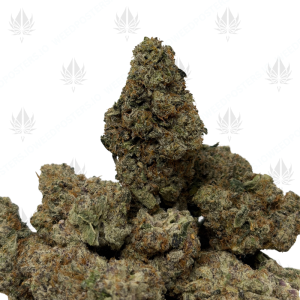 WIZARD X BEACH WEDDING (LSO EXOTICS) - Image 1