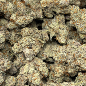 WIZARD X LEMON KUSH CAKE (LSO EXOTICS) - Image 3