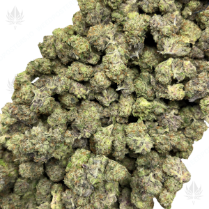 PINK PISTOL (TRIP GAS) - Image 2