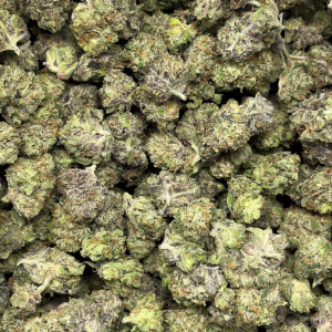 PINK PISTOL (TRIP GAS) - Image 3