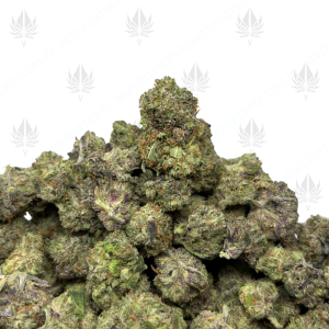 PINK PISTOL (TRIP GAS) - Image 1