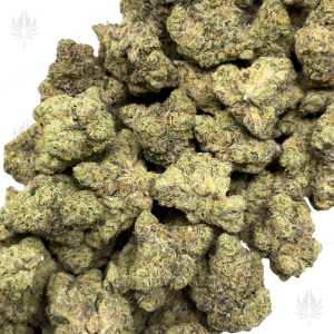 THUG PLUG (QUAD EXOTICS) - Image 2