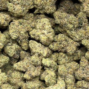 THUG PLUG (QUAD EXOTICS) - Image 3
