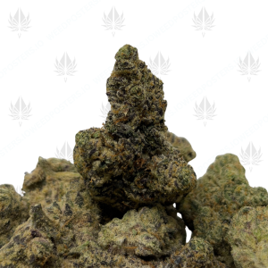 THUG PLUG (QUAD EXOTICS) - Image 1
