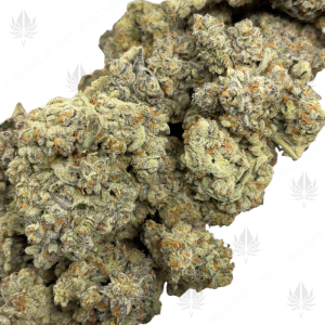 SUNSET SHERBERT (QUAD EXOTICS) - Image 2
