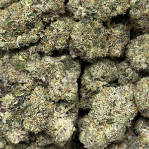 KNOCKOUT PINK (LSO GAS) - Image 3