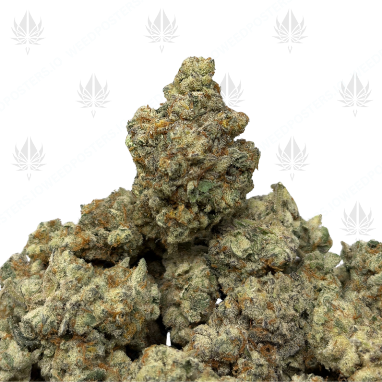 PLATINUM FROSTED FLAKES (QUAD EXOTICS)