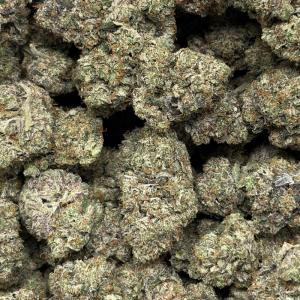 GODFATHER PINK (LSO GAS) - Image 3
