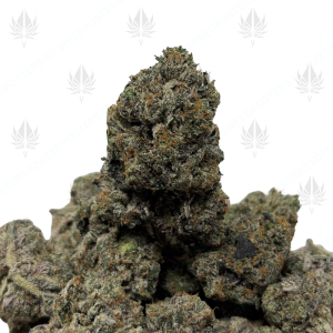 GODFATHER PINK (LSO GAS) - Image 1
