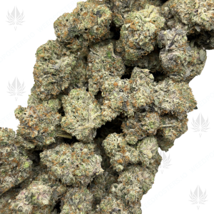 PINK DOOMSDAY (LSO GAS) - Image 2