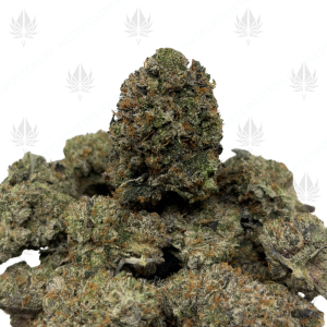 PINK DOOMSDAY (LSO GAS) - Image 1
