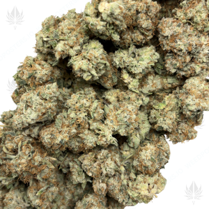 WHITE WEDDING (LSO EXOTICS) - Image 2
