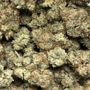 WHITE WEDDING (LSO EXOTICS) - Image 3