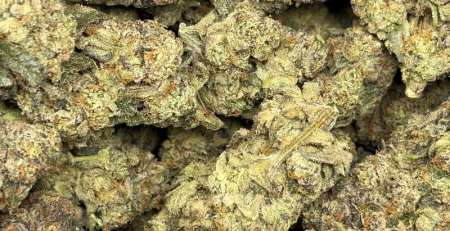 AAAA Weed Meaning: Cannabis Grading Explained