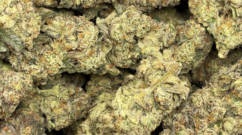 AAAA Weed Meaning: Cannabis Grading Explained