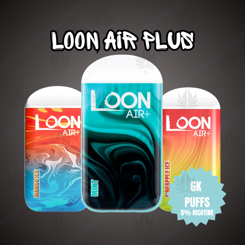 Loon Air Plus - Banner