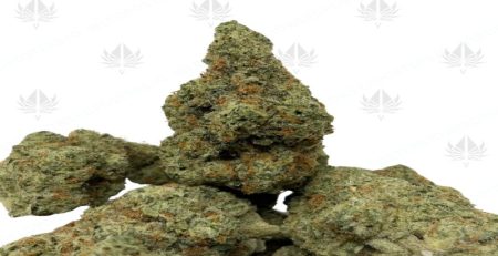 What Is THCA? THCA vs THC Explained