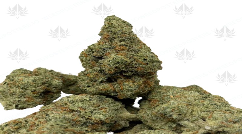 What Is THCA? THCA vs THC Explained