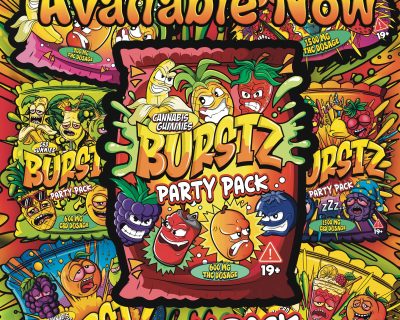 Burstz poster art