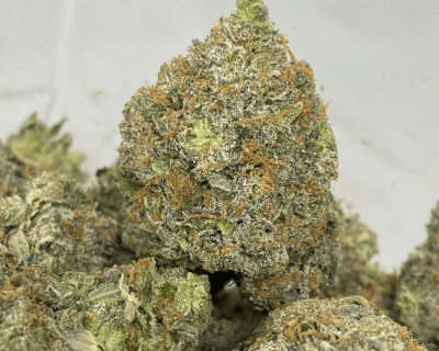 Tuna OG (3)